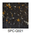 SPC-Q021